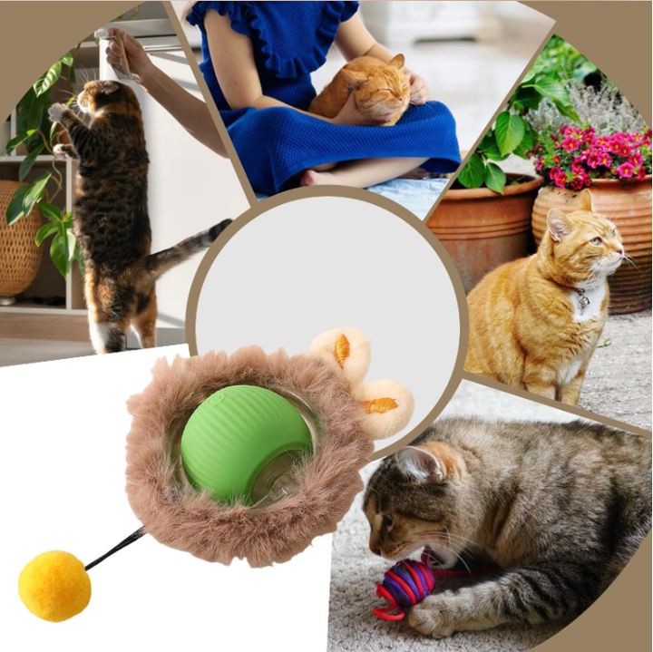 JUGUETE INTERACTIVO PARA GATOS